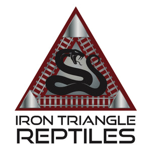 Iron Triangle Reptiles Snakes for sale